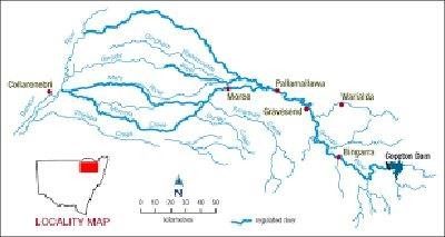 Gwydir Valley Irrigators Association Inc - New Water Sharing Plans for ...