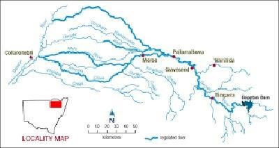 Gwydir Valley Irrigators Association Inc - Reduction in supplementary ...